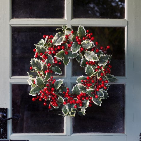 HollyBerry Wreath - 40cm 2543003 Smart Garden Mulligans of Ballaghaderreen