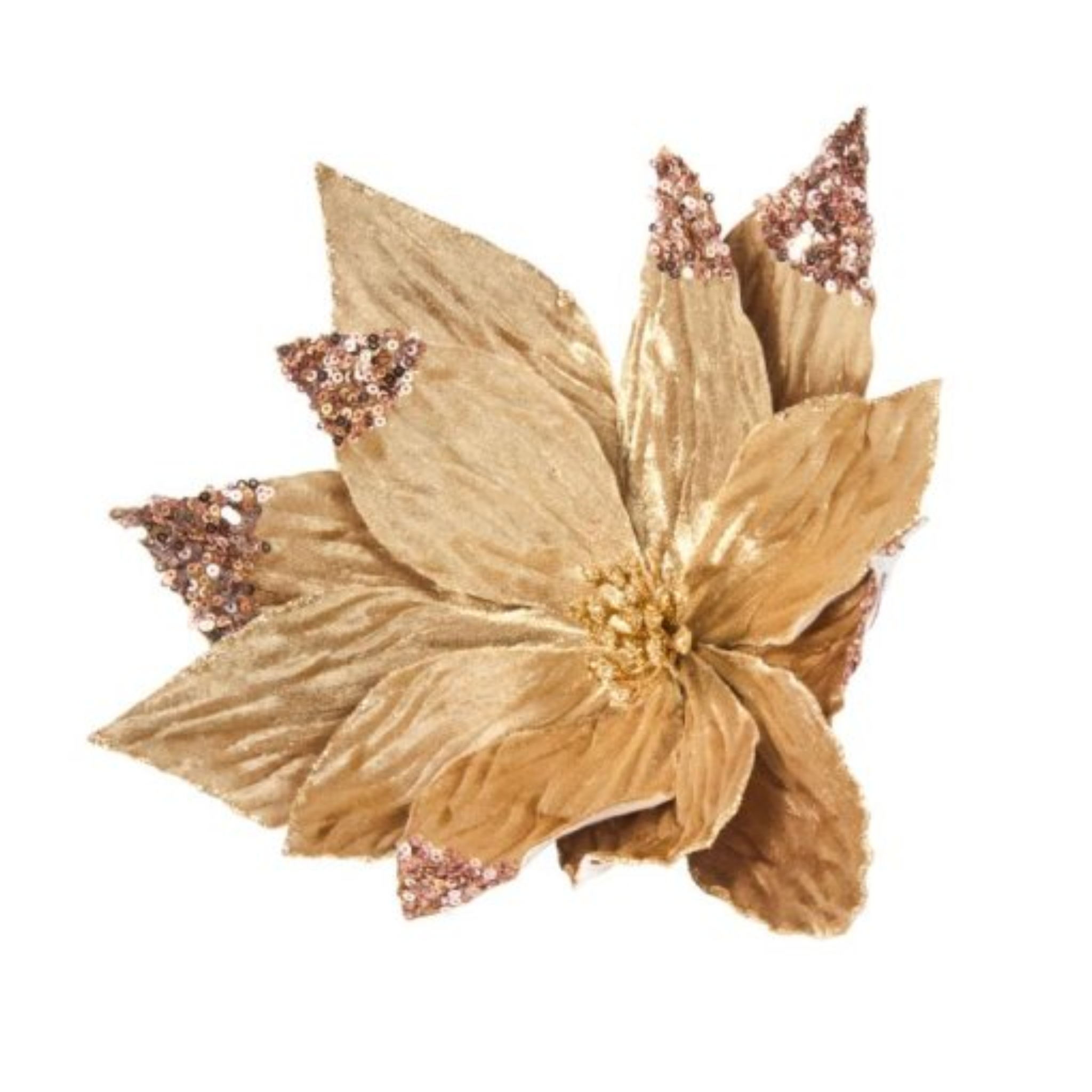 Glorious Golds Clip 2544203 Smart Garden Christmas Mulligans of Ballaghaderreen