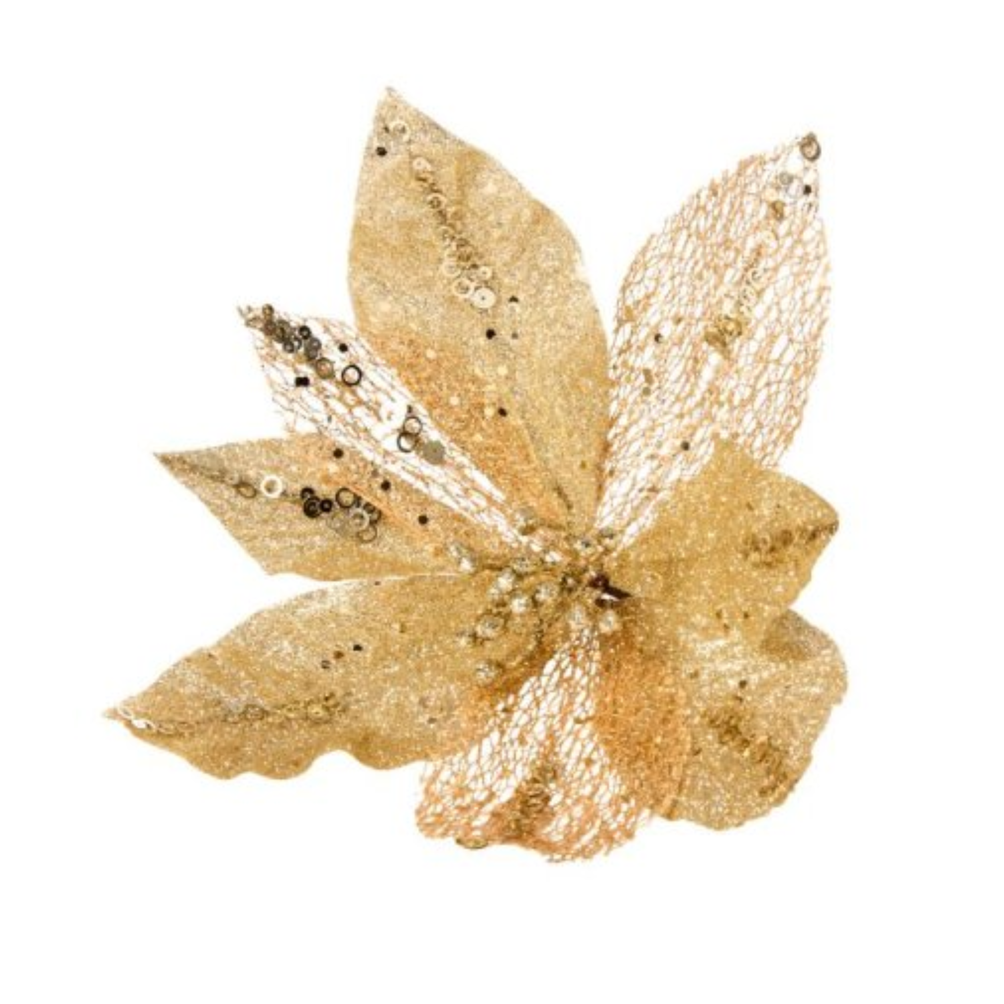 Glorious Golds Stem 2544206 Smart Garden Christmas Mulligans of Ballaghaderreen