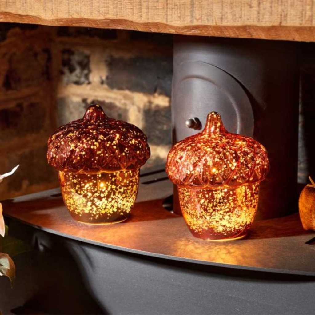 InLit Decorns, Mixed Case 2644000 Smart Garden Mulligans of Ballaghaderreen