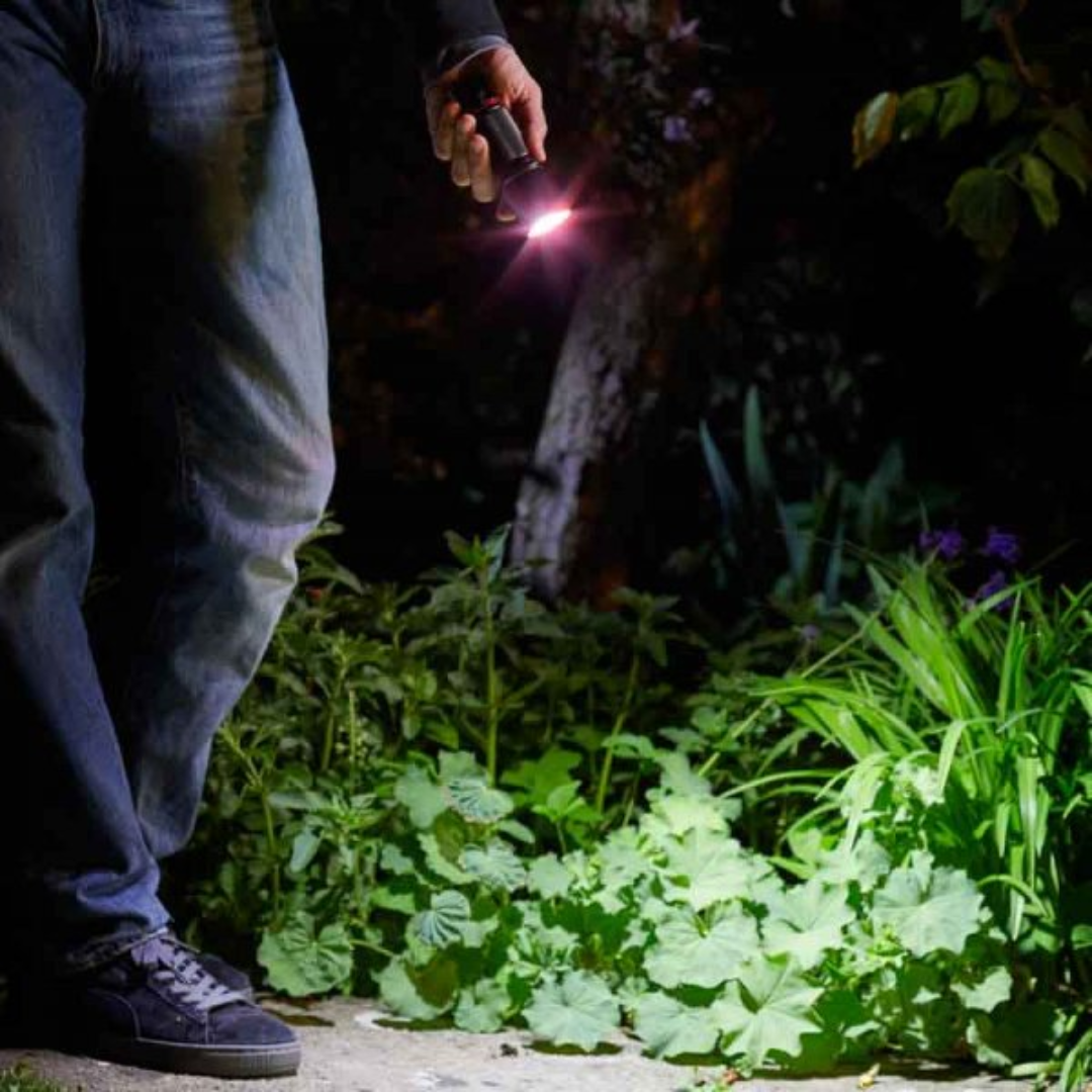 Mega-Beam Torch