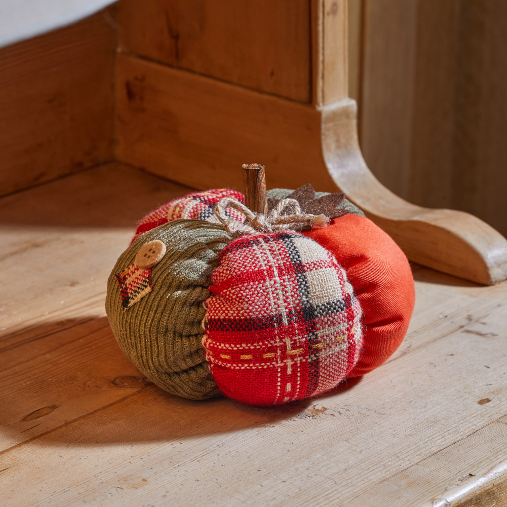 Patch Pumpkin - Large 5034029 Smart Garden Mulligans of Ballaghaderreen