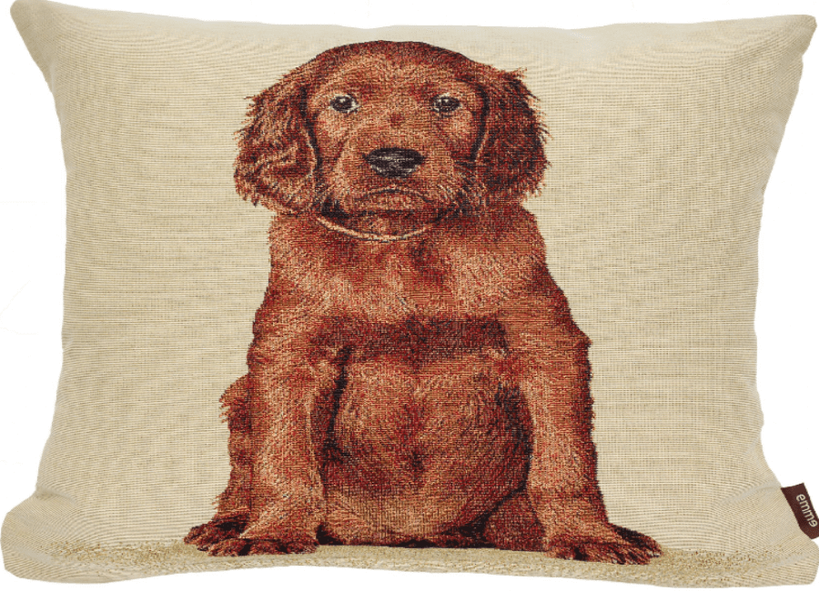 Cushions & Throws