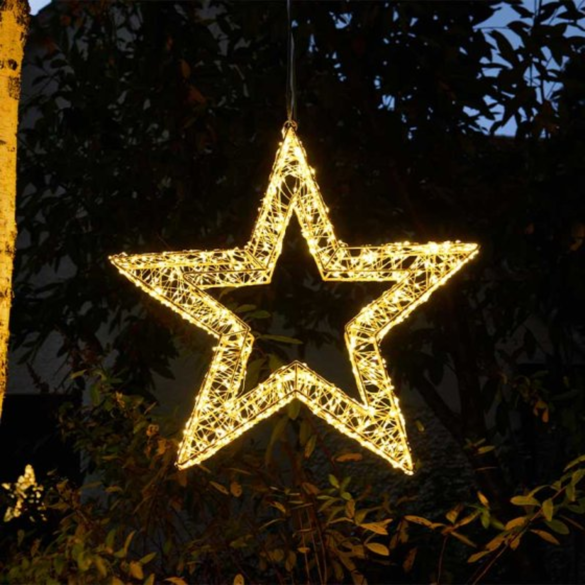 1440 LED Galaxy Star - Warm White 2506066 Smart Garden Christmas Mulligans of Ballaghaderreen