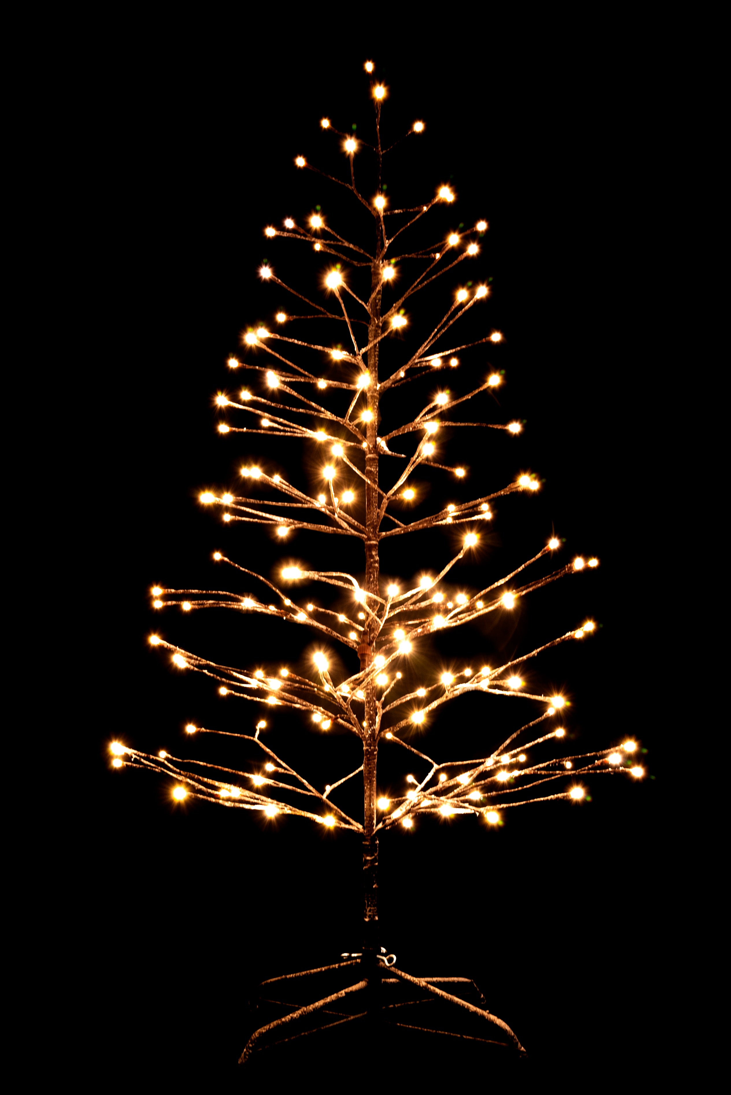 Brown Twig Tree -  7 Foot 260020 Shatchi Mulligans of Ballaghaderreen