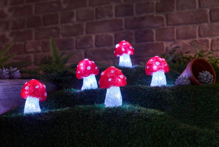 InLit Ice Shroomz - Set of 5 2515038 Smart Garden Mulligans of Ballaghaderreen