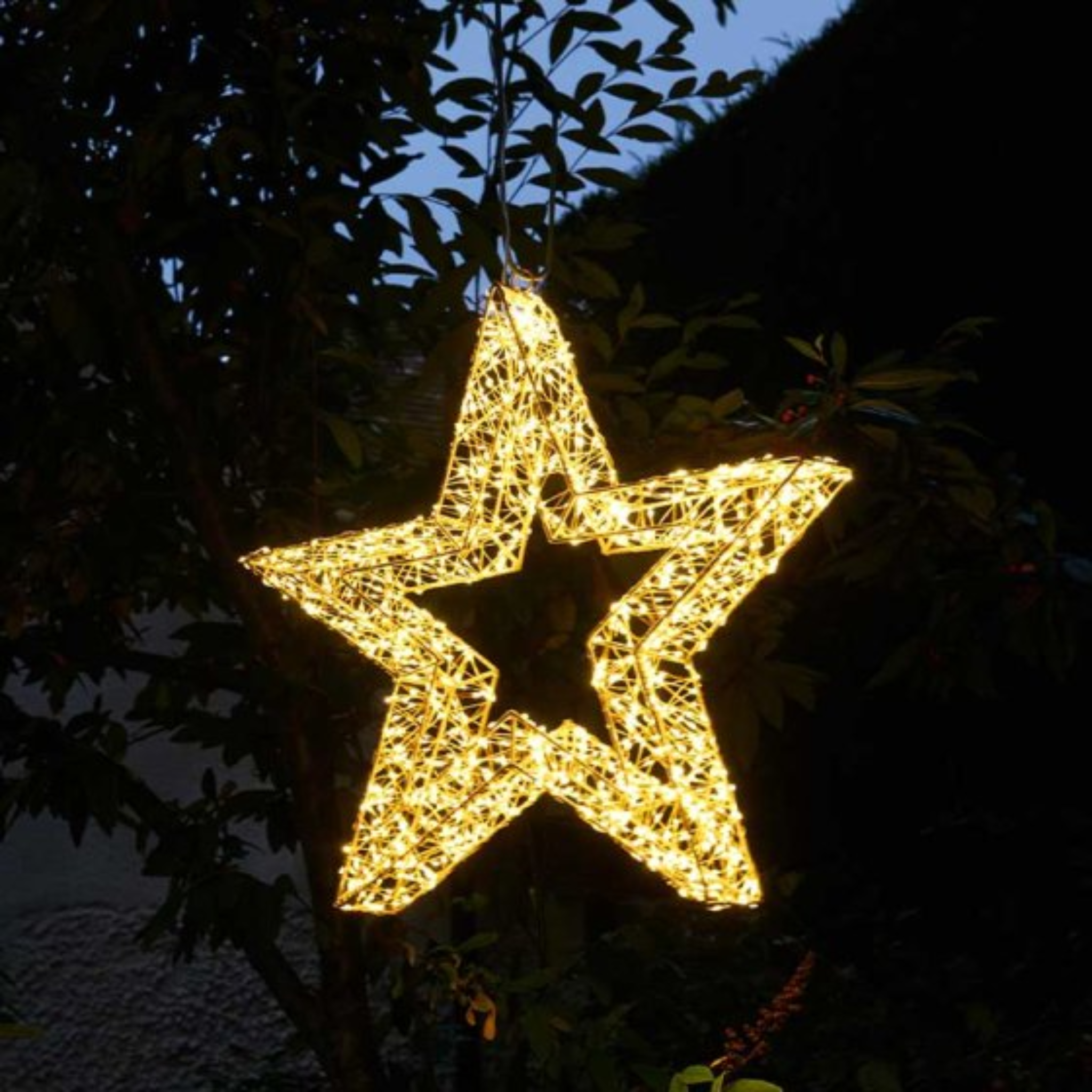 960 LED Galaxy Star - Warm White 2506064 Smart Garden Christmas Mulligans of Ballaghaderreen