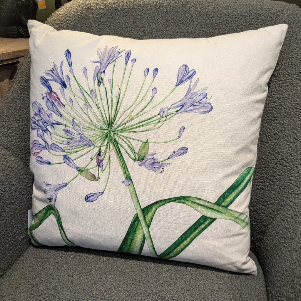 Agapanthus Feather Filled Cushion 149420 Tipperary Crystal Mulligans of Ballaghaderreen