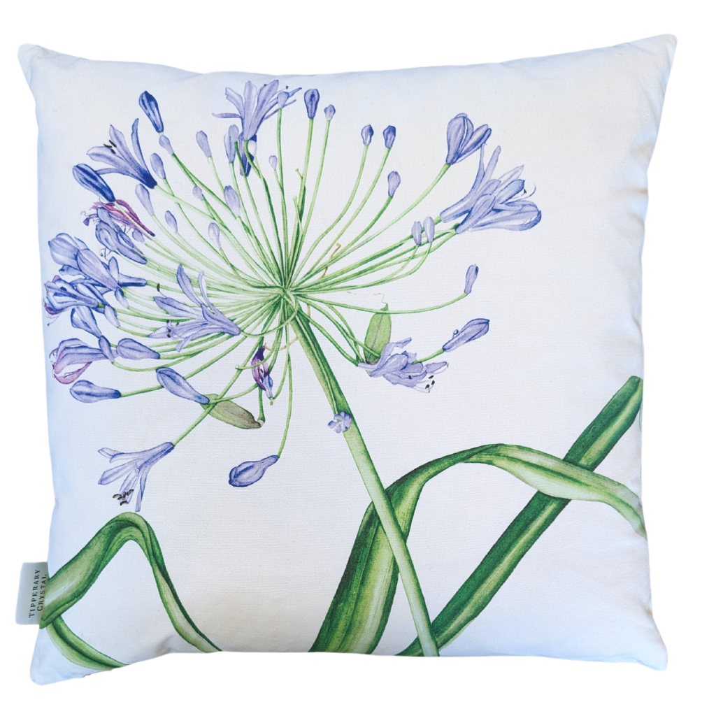 Agapanthus Feather Filled Cushion 149420 Tipperary Crystal Mulligans of Ballaghaderreen