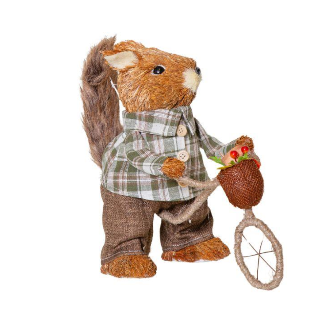 Bicycle Squirrel Y31.A3328 Harold Elmes Mulligans of Ballaghaderreen