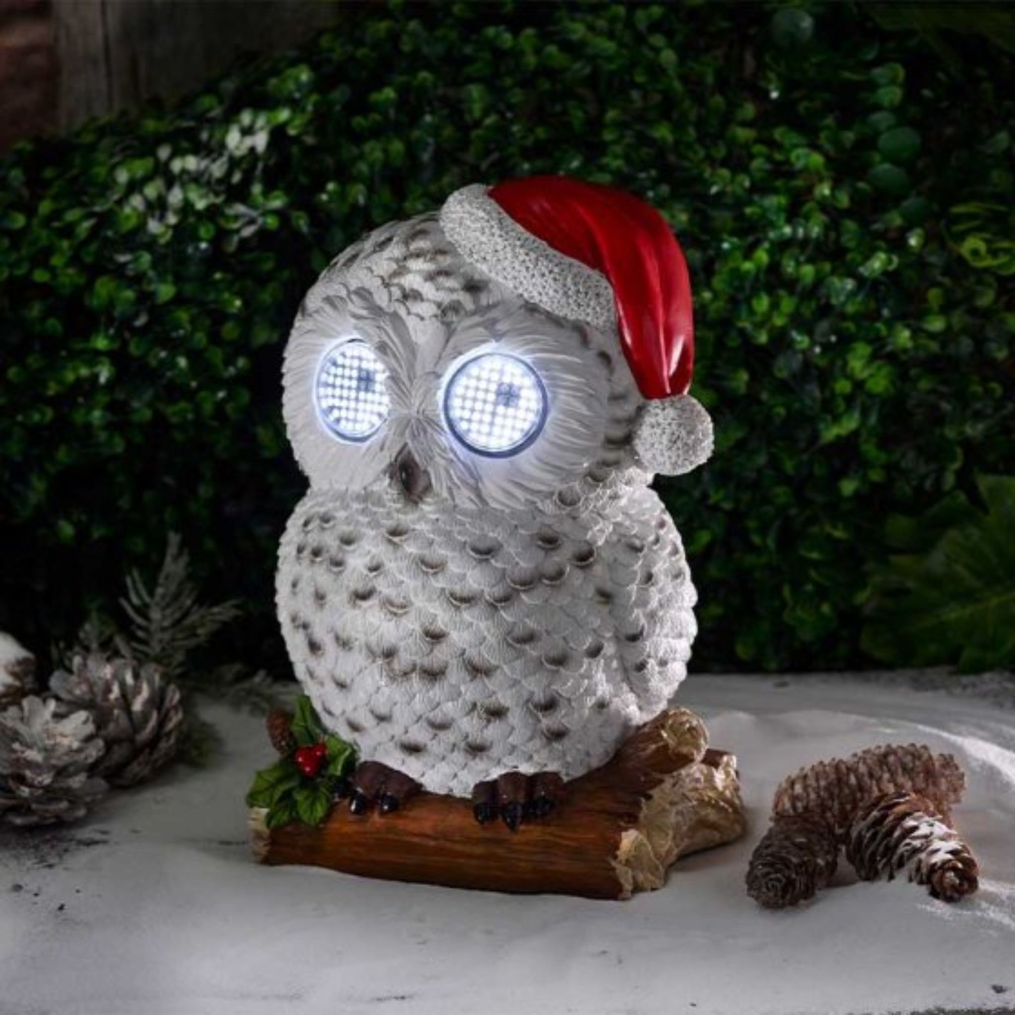 Blinkin' Snowy 2535168 Smart Garden Christmas Mulligans of Ballaghaderreen