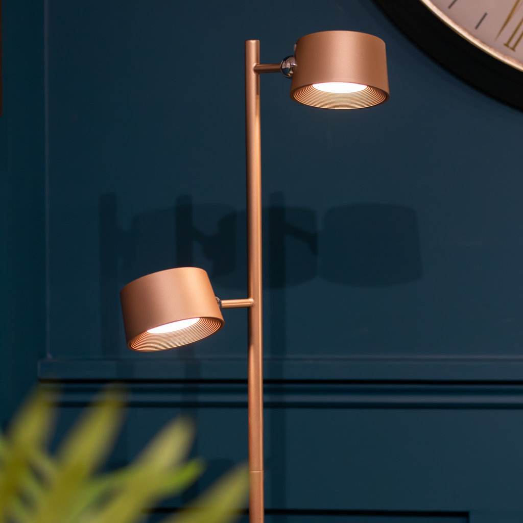 Cosmo Usb Rechargeable Floor Lamp Champagne Gold TL7049 Tara Lane Mulligans of Ballaghaderreen
