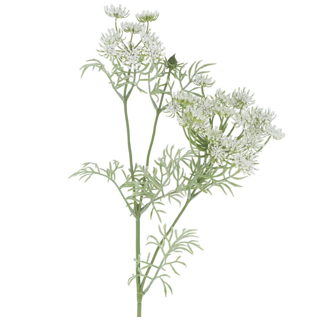 Cow Parsley Spray 60073 Gisela Graham Mulligans of Ballaghaderreen