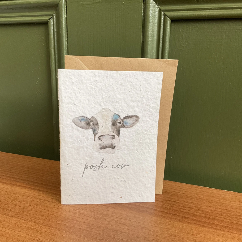 Greeting Card Langs - Posh Cow 4FL530 - Mulligans of Ballaghaderreen 