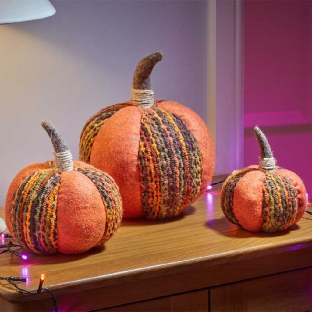 Harvest Pumpkin 2645006 Smart Garden Mulligans of Ballaghaderreen