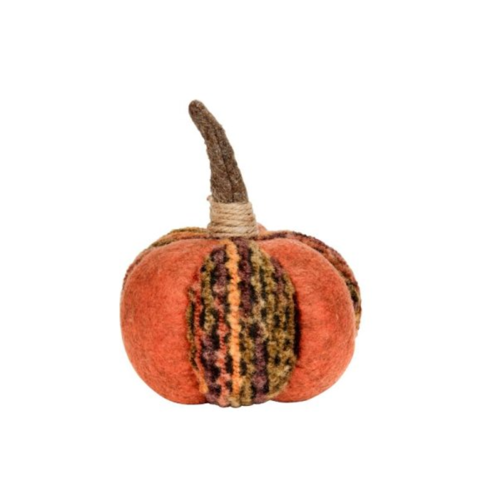 Harvest Pumpkin 2645006 Smart Garden Mulligans of Ballaghaderreen