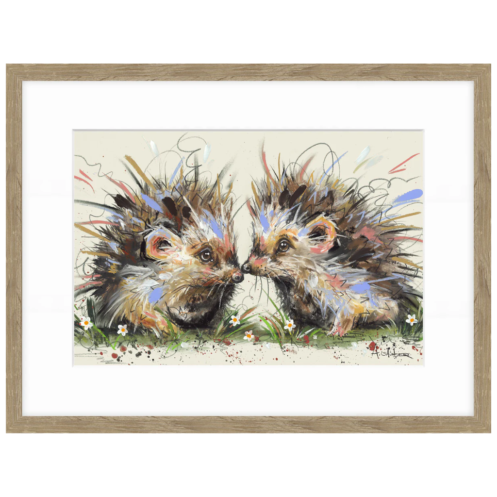 Hedgehugs AK12576 Artko Mulligans of Ballaghaderreen