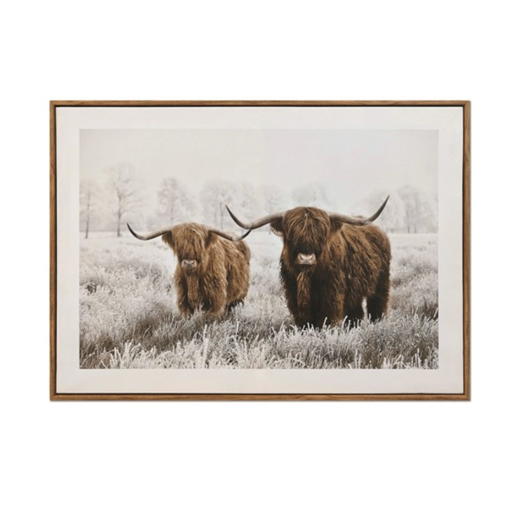 Highland Cow Print 34216 Straits Home and Gift Mulligans of Ballaghaderreen