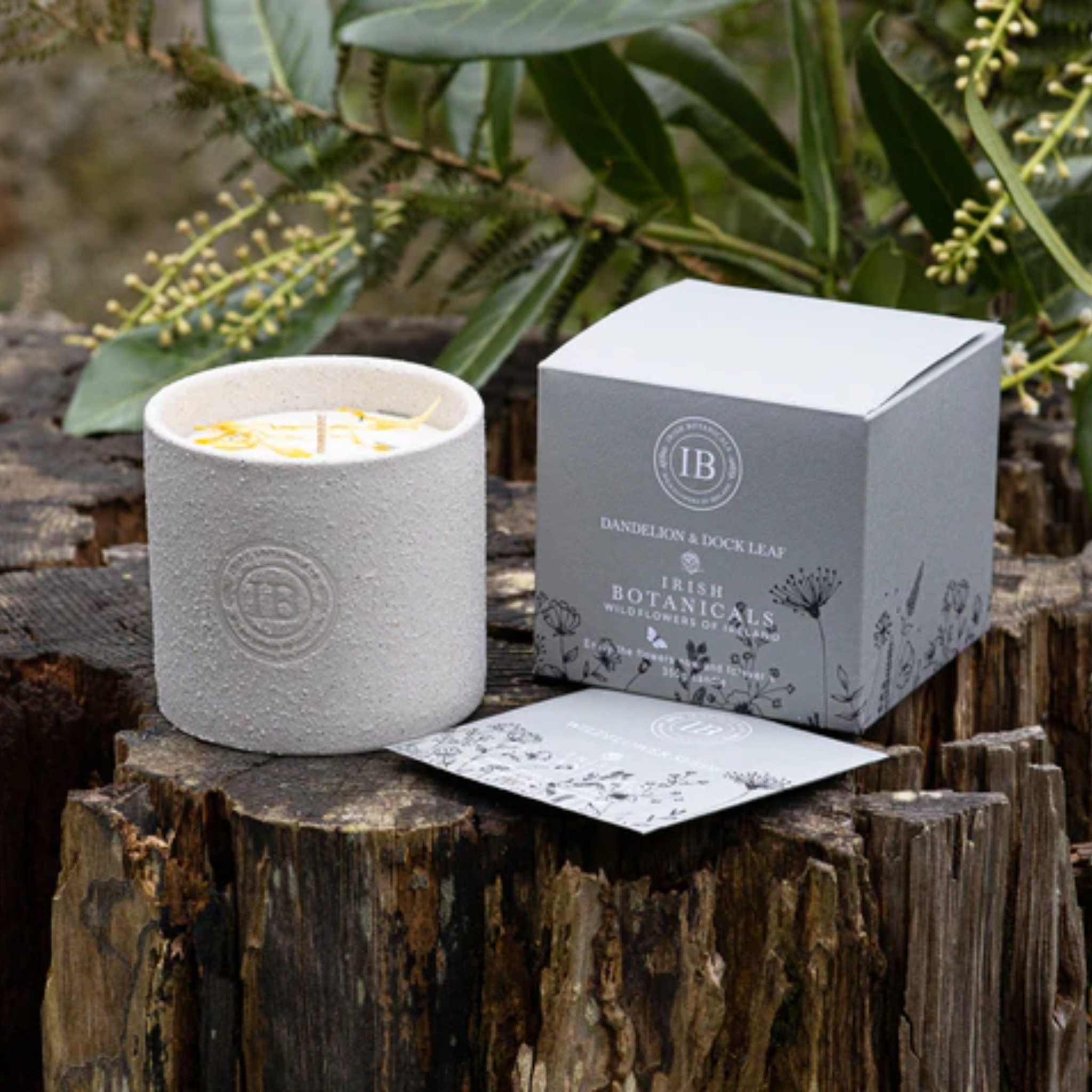 Irish Botanicals Wildflowers of Ireland Candle - Dandelion & Dock Leaf-  Mulligans of Ballaghaderreen 
