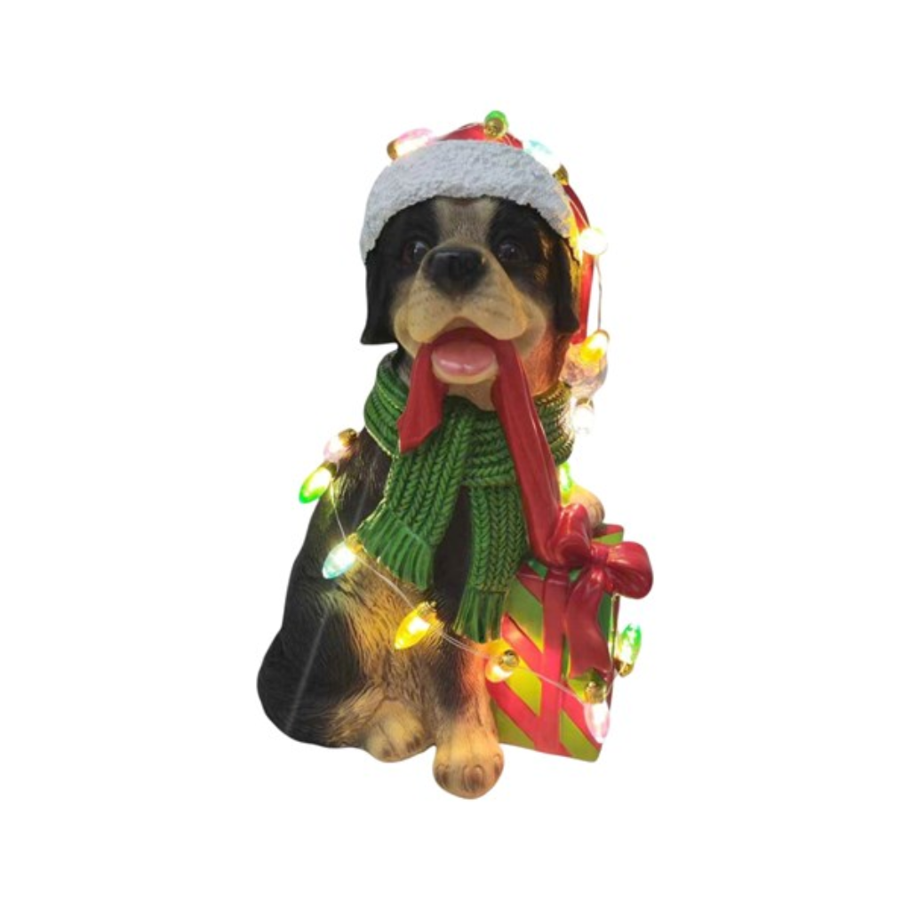 LED Christmas Rottweiler 12x24cm 36327 Straits Home and Gift Mulligans of Ballaghaderreen