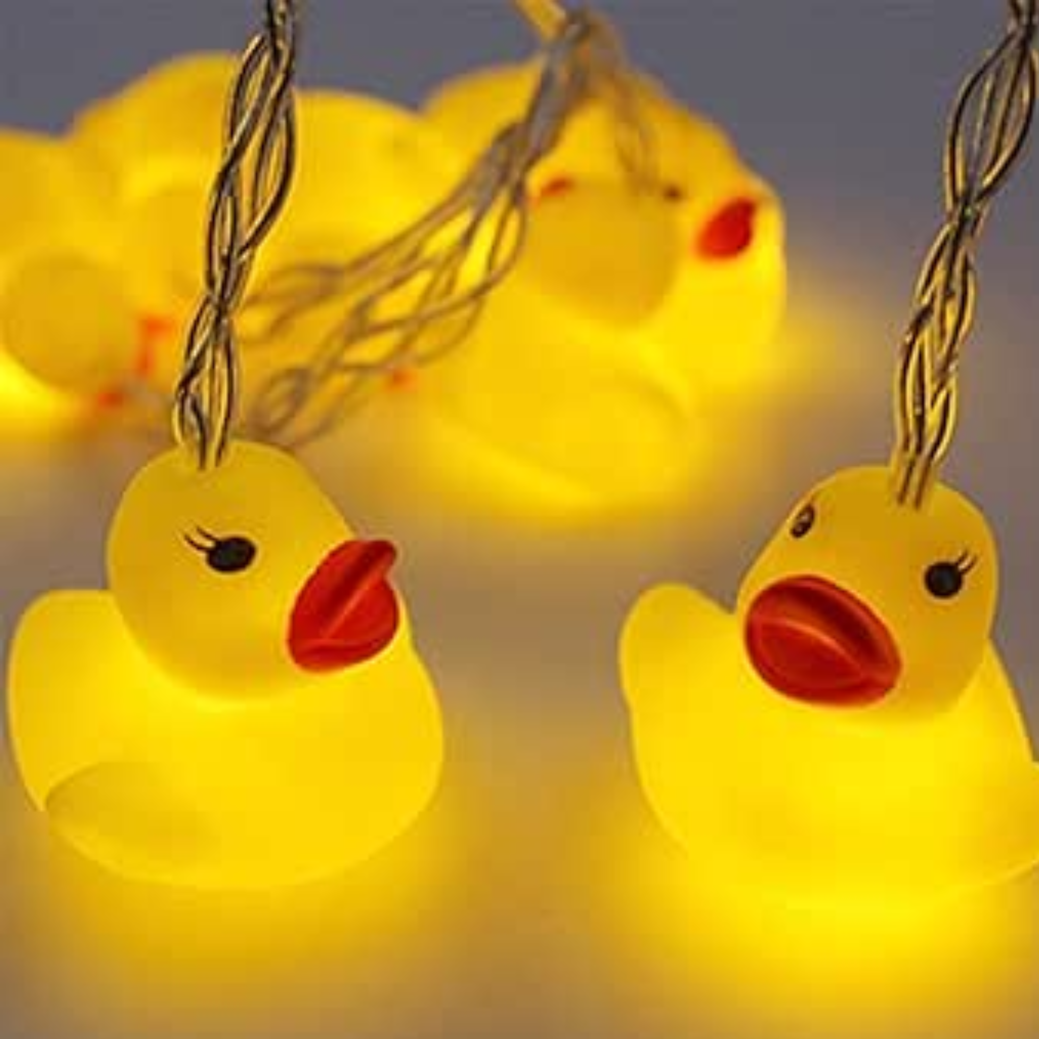 LED Duck Garland 1.7m SIL EL0566  -Mullligans of Ballaghaderreen