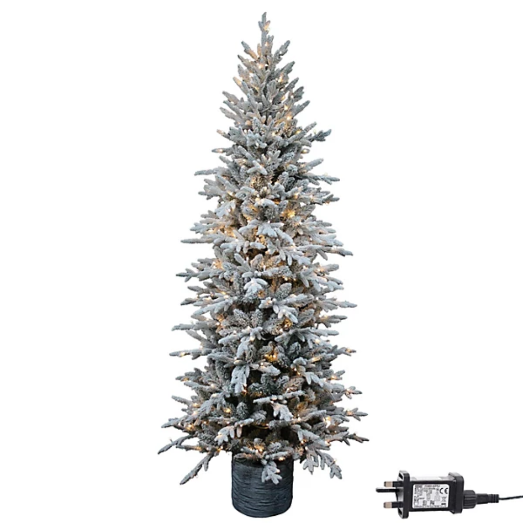 LED Piedmont Pine in Pot 5Ft 249005 Shatchi Mulligans of Ballaghaderreen