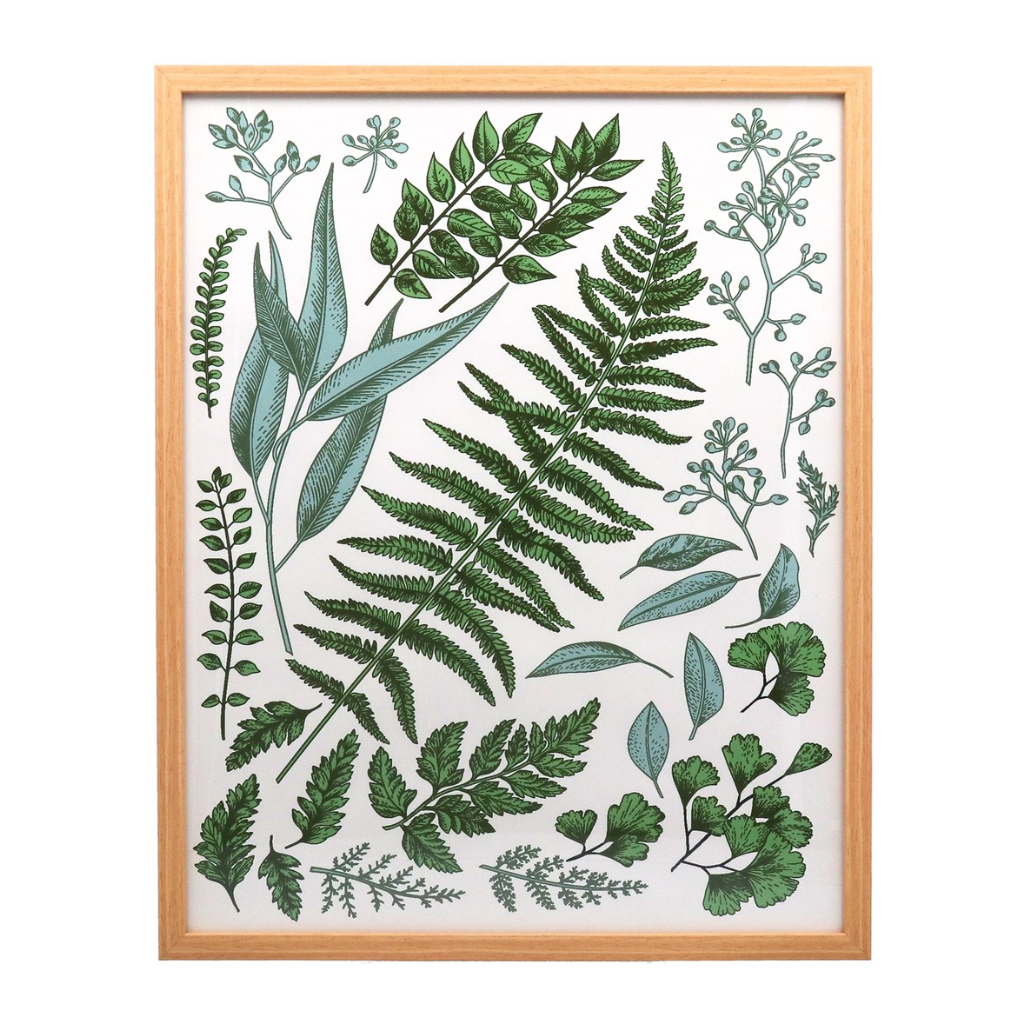 Leaf Study Framed Print 35594 Gisela Graham Mulligans of Ballaghaderreen 