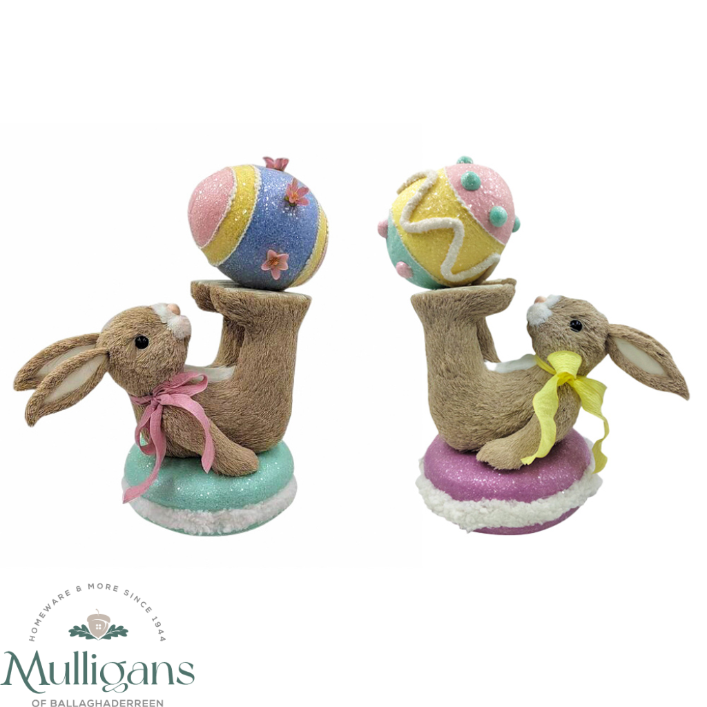 Easter bunny macaroon balancing egg 2 assorted Mulligans of Ballaghaderreen