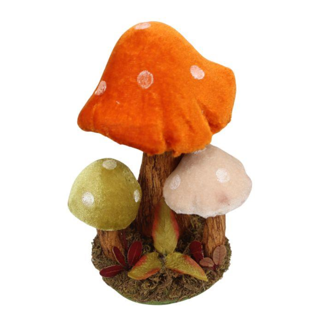 Multicoloured Mushroom Cluster Y31.A45083 Harold Elmes Mulligans of Ballaghaderreen