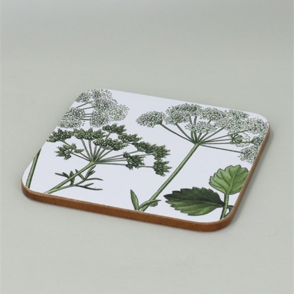 Pack of 4 Coasters - Spring Hedgerow 80350 Gisela Graham Mulligans of Ballaghaderreen
