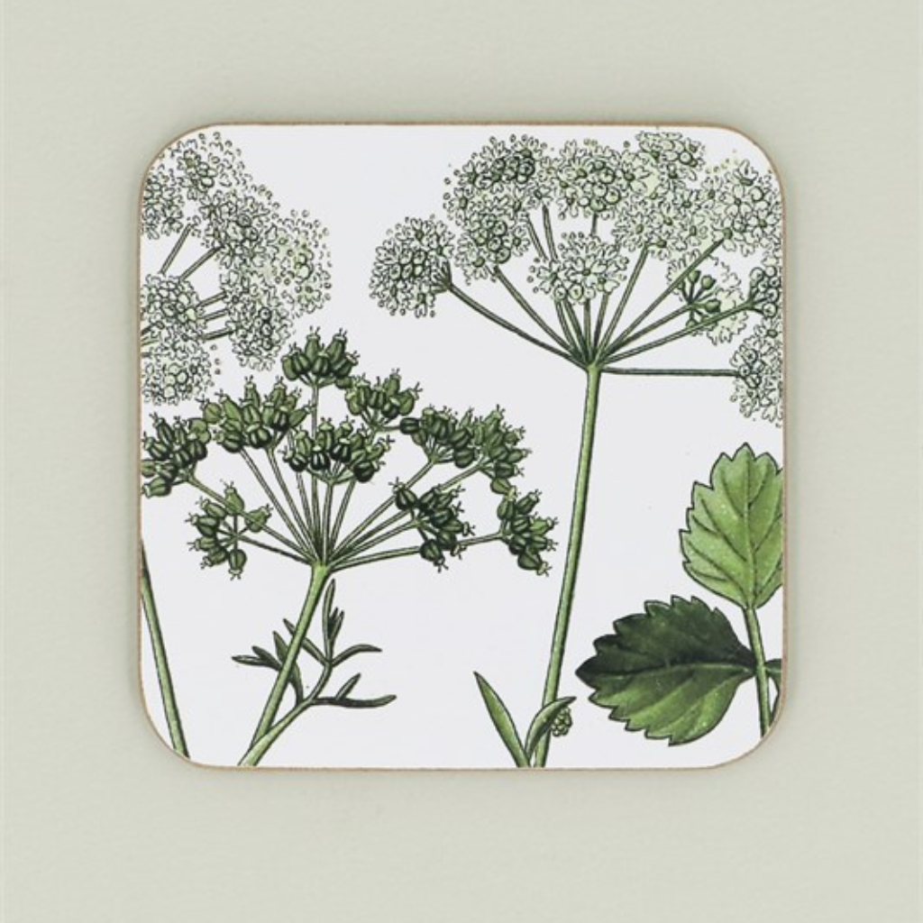 Pack of 4 Coasters - Spring Hedgerow 80350 Gisela Graham Mulligans of Ballaghaderreen
