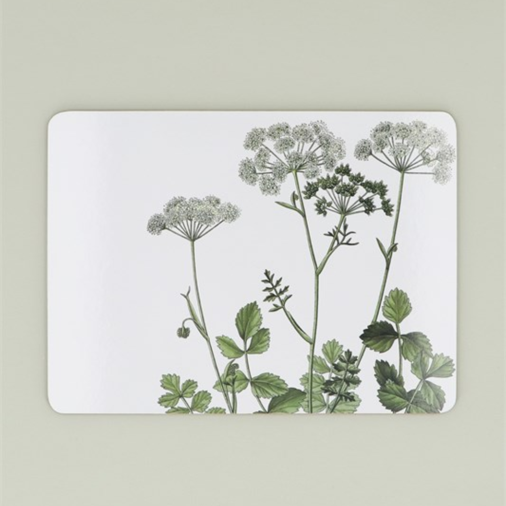 Pack of 4 Placemats - Spring Hedgerow 80357 Gisela Graham Mulligans of Ballaghaderreen