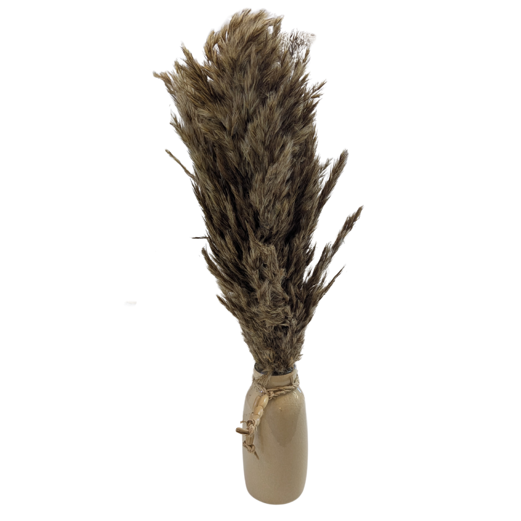 Pampas Grass Decorative Vase NI1033 Sifcon Mulligans of Ballaghaderreen