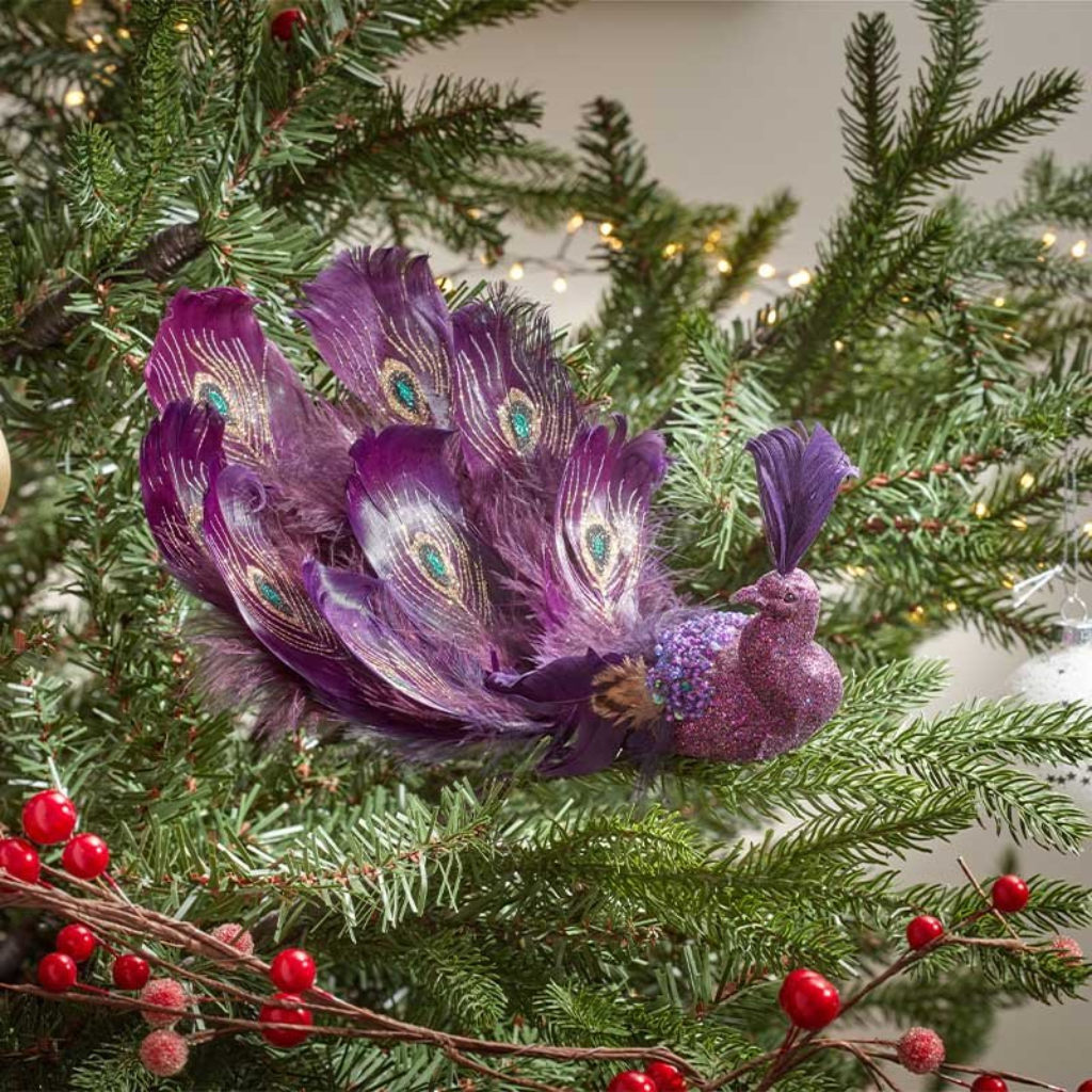 Peacock - Amethyst 2552008 Smart Garden Mulligans of Ballaghaderreen
