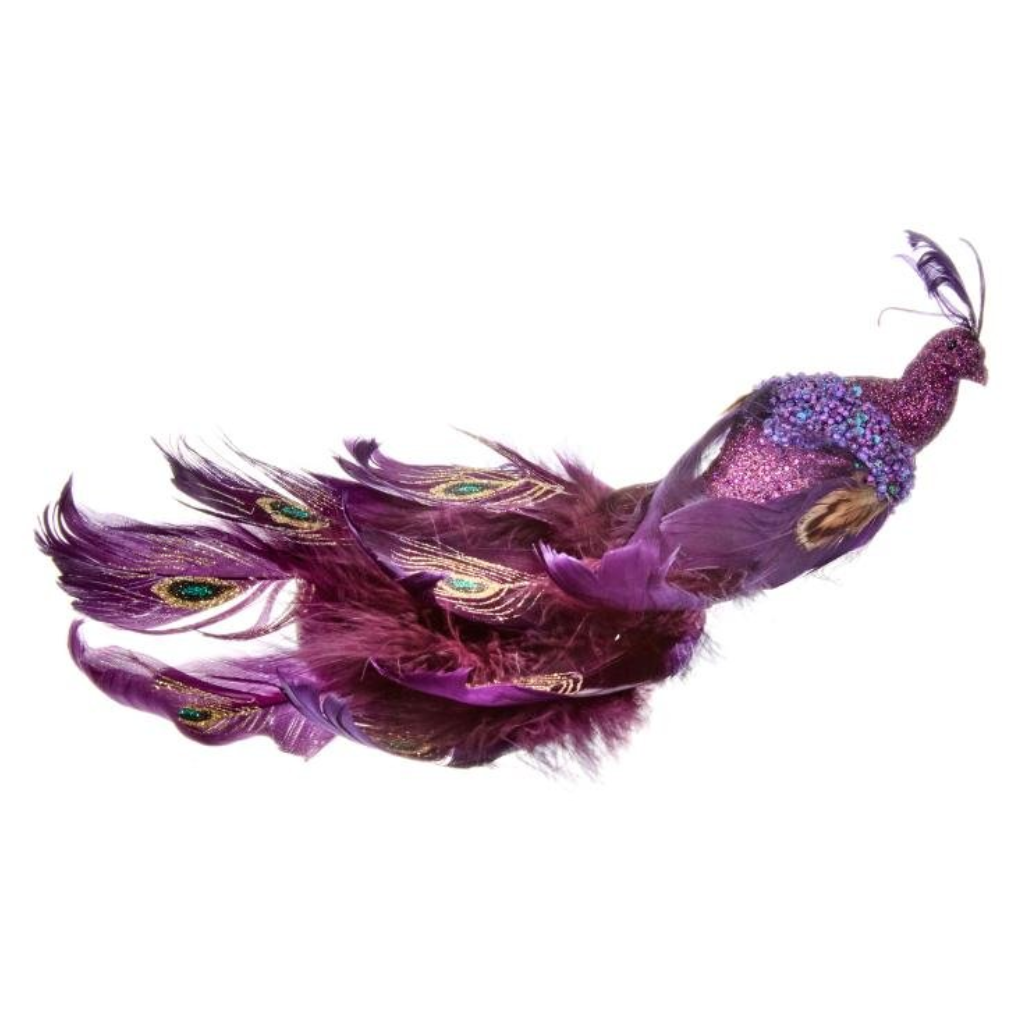 Peacock - Amethyst 2552008 Smart Garden Mulligans of Ballaghaderreen