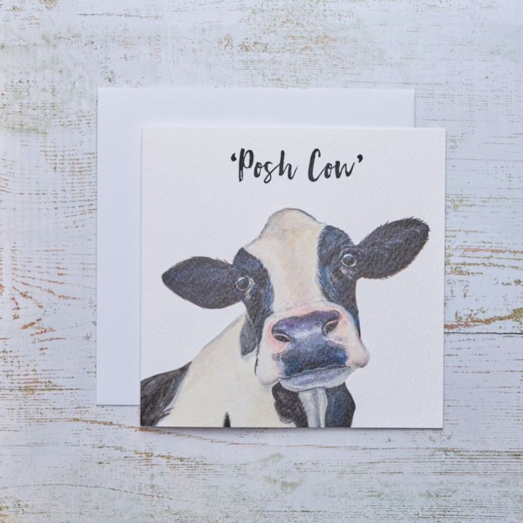 "Posh Cow" Card 4DF362 Richard Langs Mulligans of Ballaghaderreen