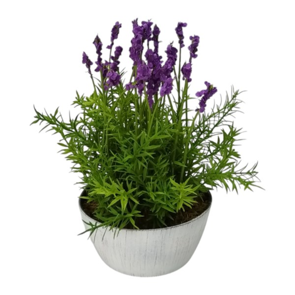 Potted Lavender 35454 Home and Gift Mulligans of Ballaghaderreen