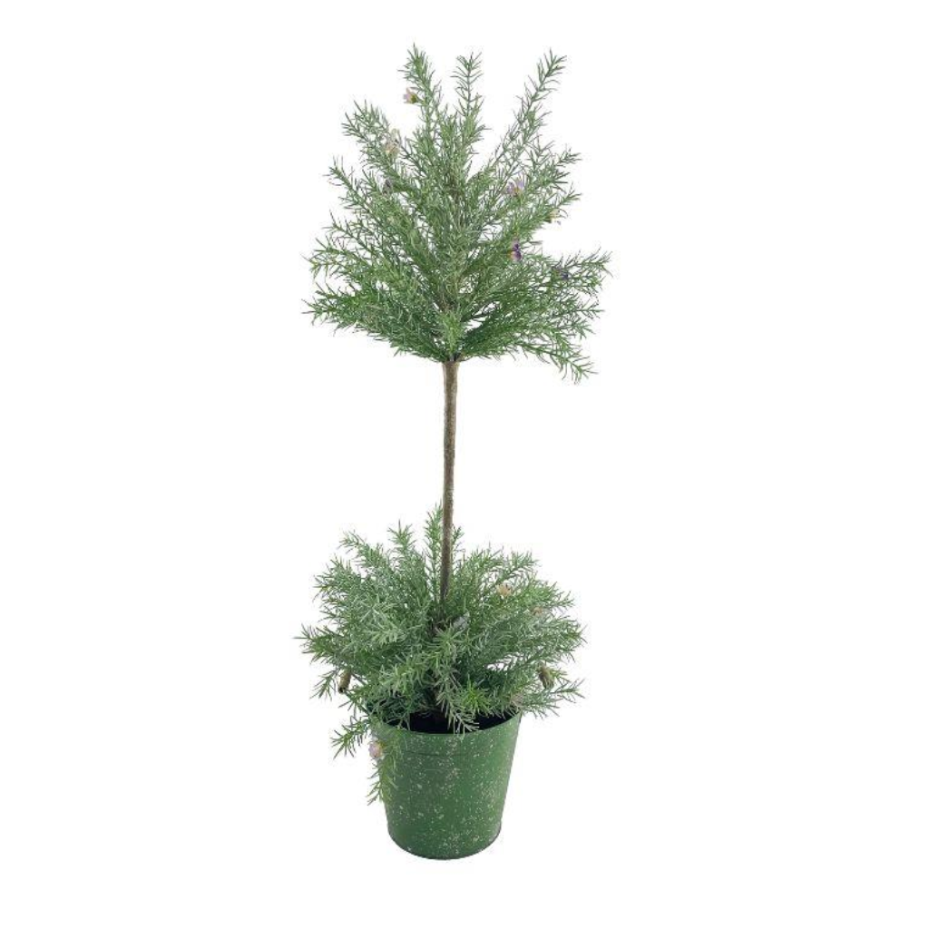 Potted Mint Topiary Tree - Large Y62.S45548 Harold Elmes Mulligans of Ballaghaderreen