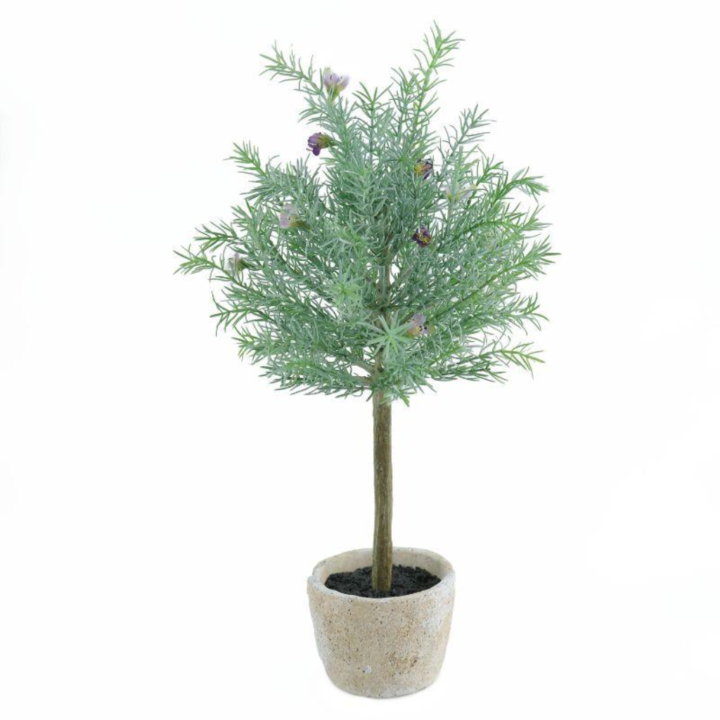 Potted Mint Topiary Tree - Medium Y62.S45547 Harold Elmes Mulligans of Ballaghaderreen