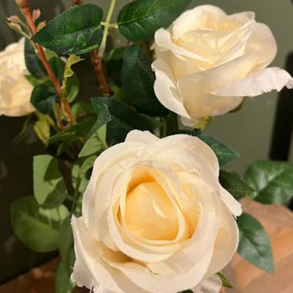 Floral Collection - Potted Roses (Red/White)