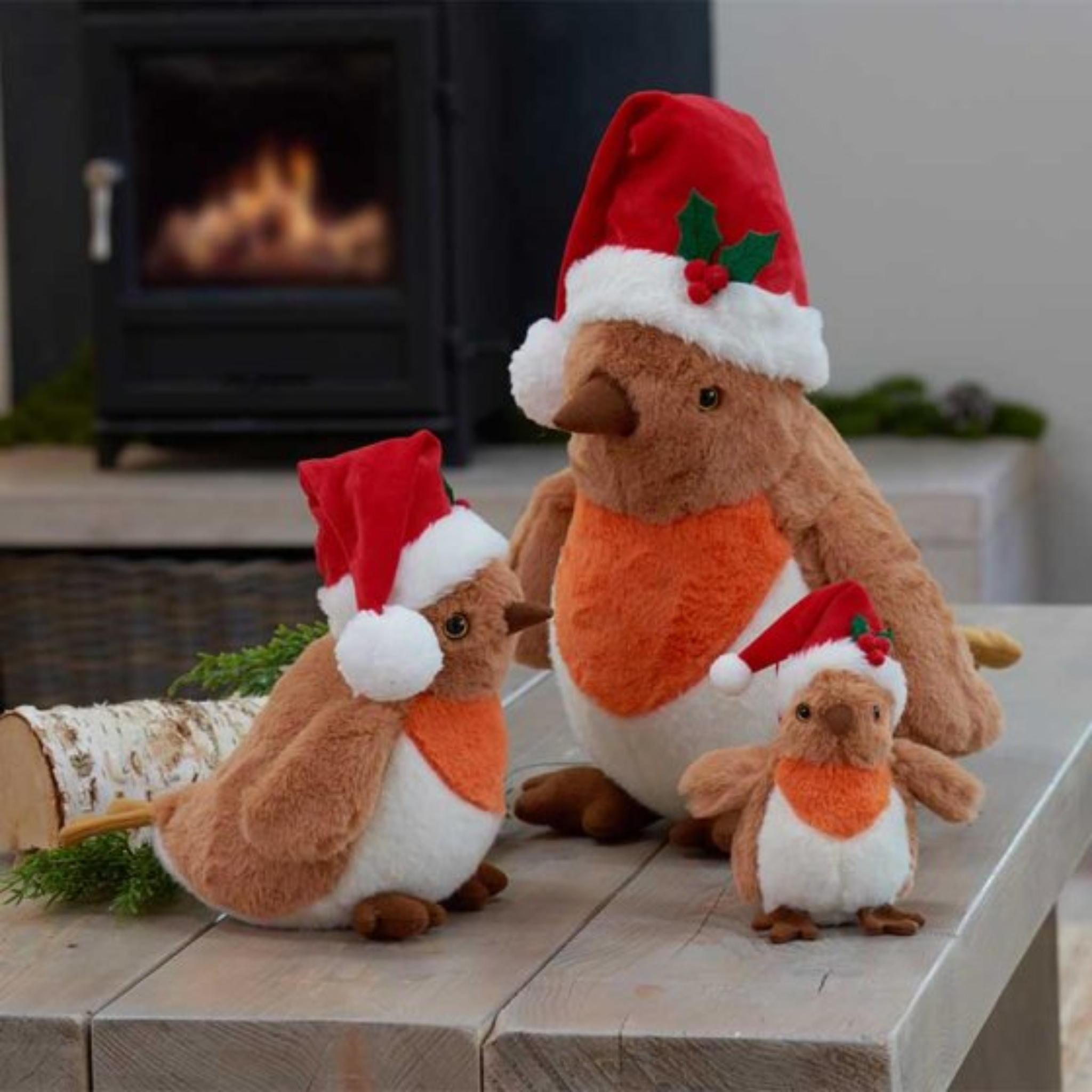Robbie 2531594 Smart Garden Christmas Mulligans of Ballaghaderreen