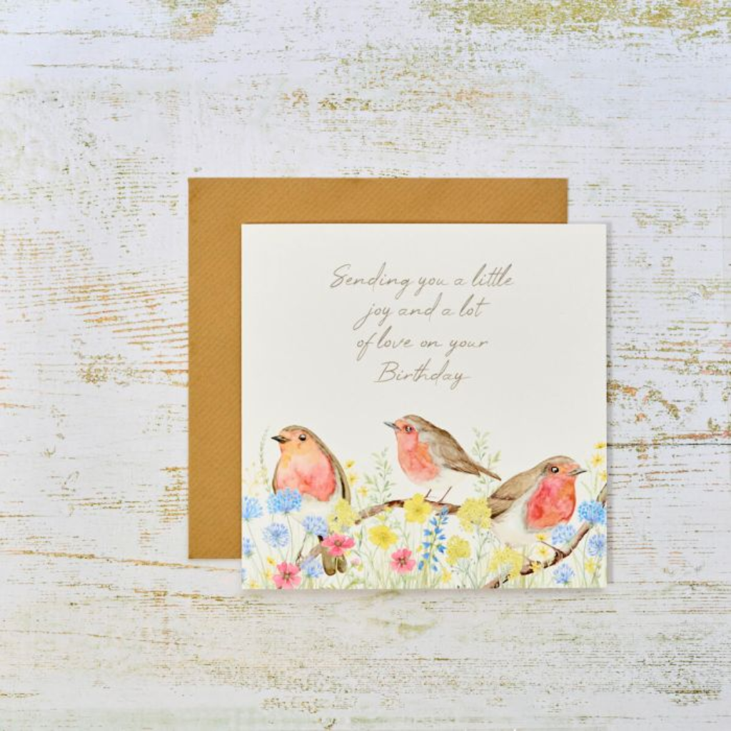 Robin Birthday Card 4RF273 Richard Langs Mulligans of Ballaghaderreen