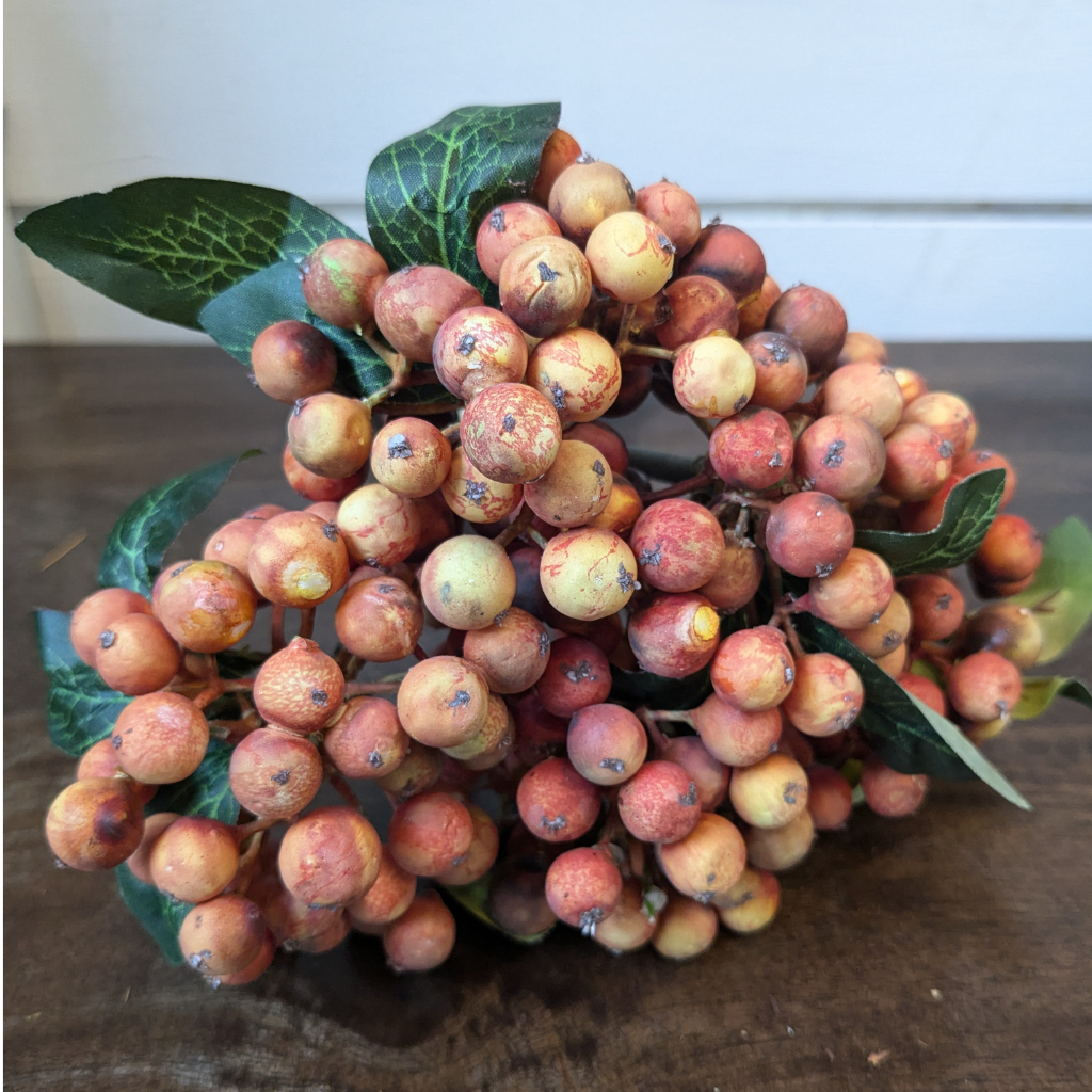Rustic Orange Berry Bunch ROBBG Gourds Mulligans of Ballaghaderreen