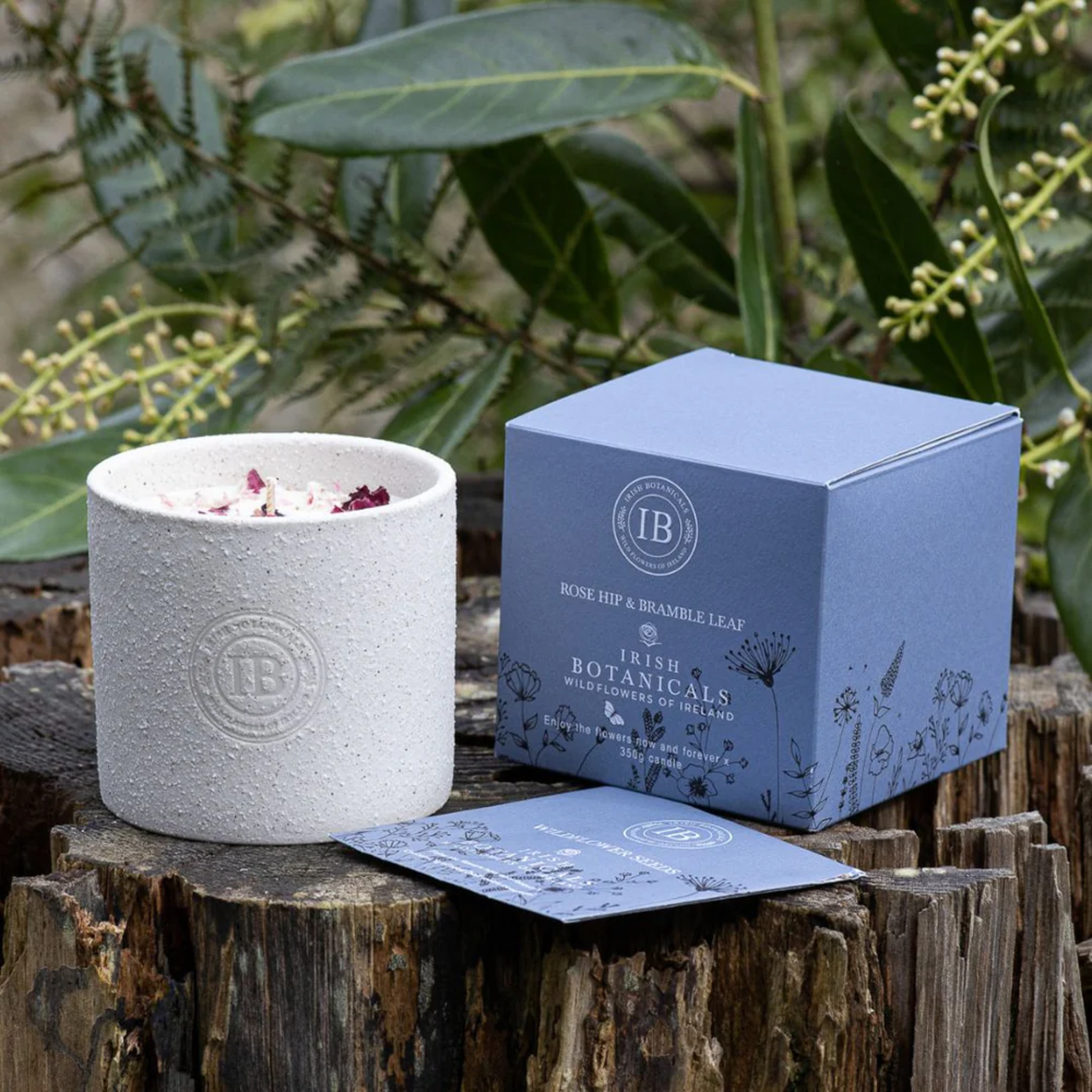 Scented Candle - Irish Botanicals - Rosehip & Bramble Leaf -  Mulligans of Ballaghaderreen 