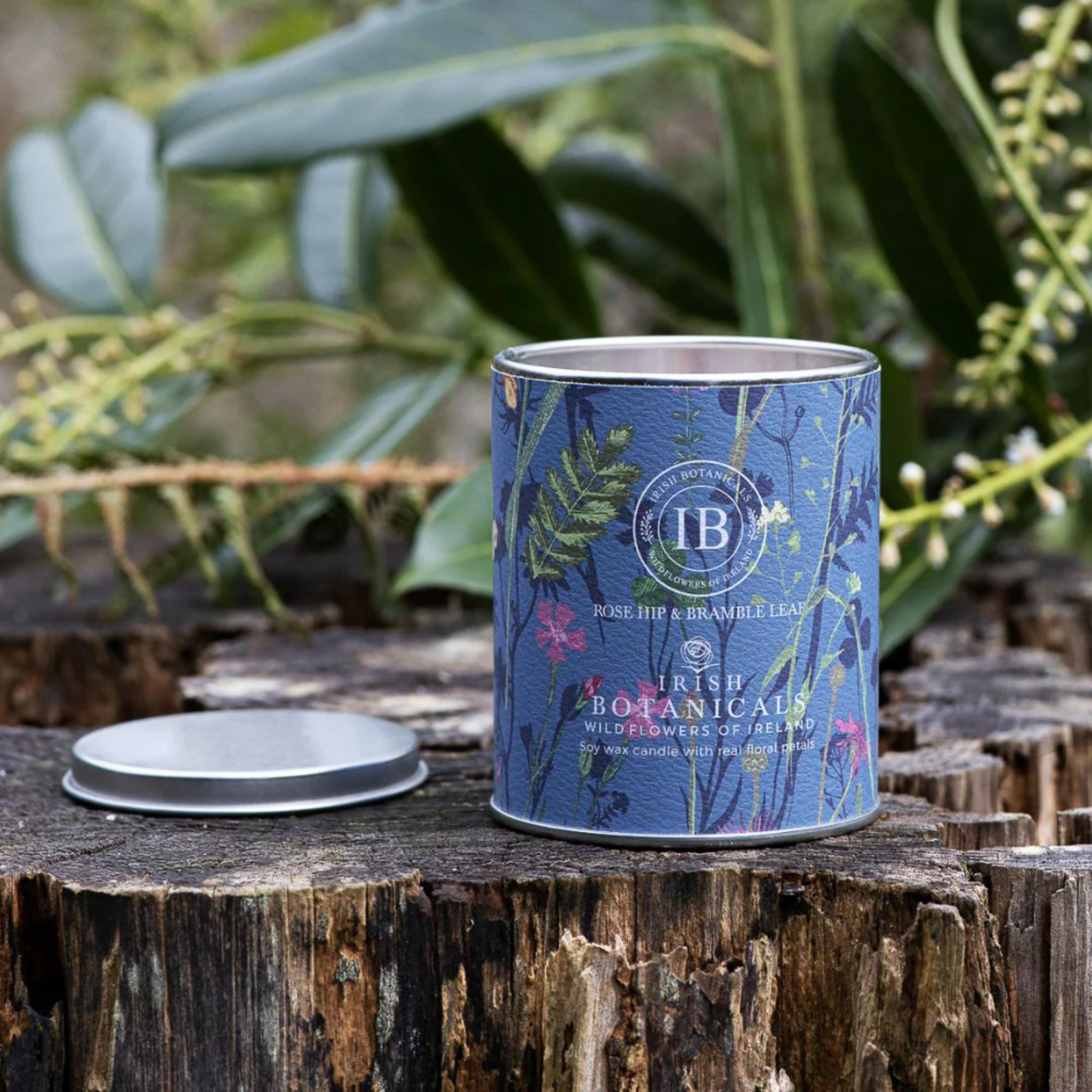 Scented Candle - Irish Botanicals - Rosehip & Bramble Leaf -  Mulligans of Ballaghaderreen 