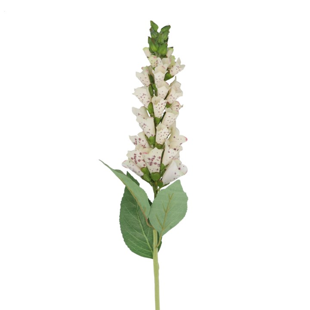 Stem - Cream Foxglove 61576 Gisela Graham Mulligans of Ballaghaderreen