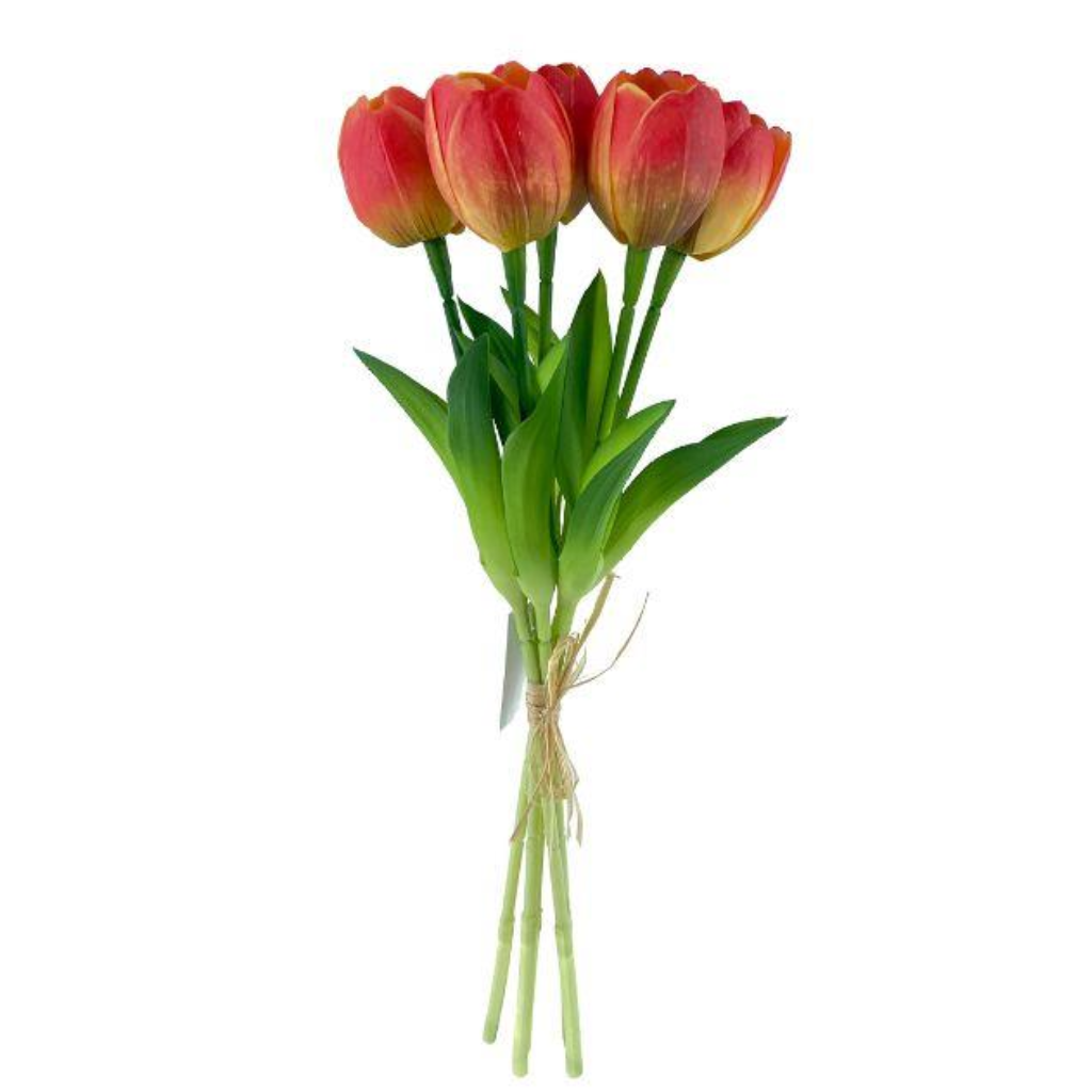 Sunrise Tulip Bundle Y62.S45544 Harold Elmes Mulligans of Ballaghaderreen