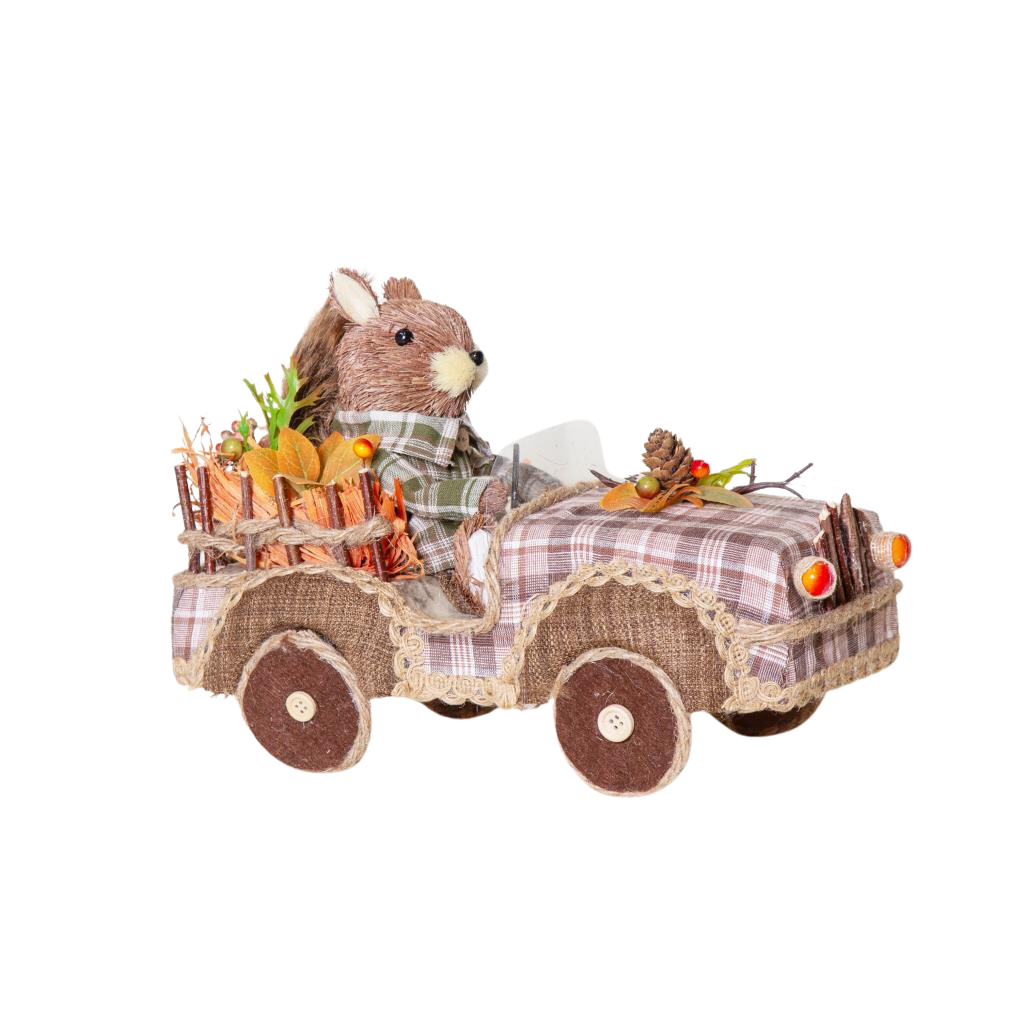 Thatch Squirrel in Car Elmes Y31.A3330 Mulligans of Ballaghaderreen