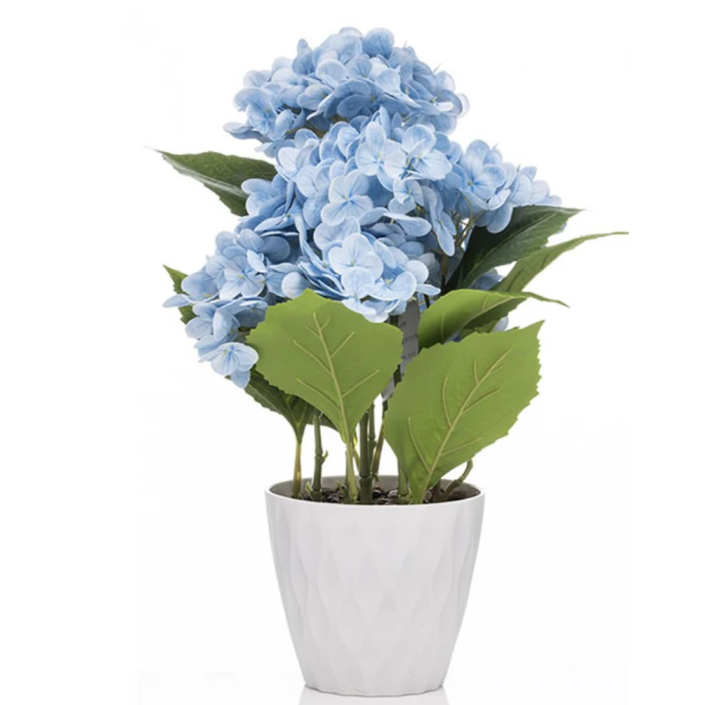 Giftware & Accessories