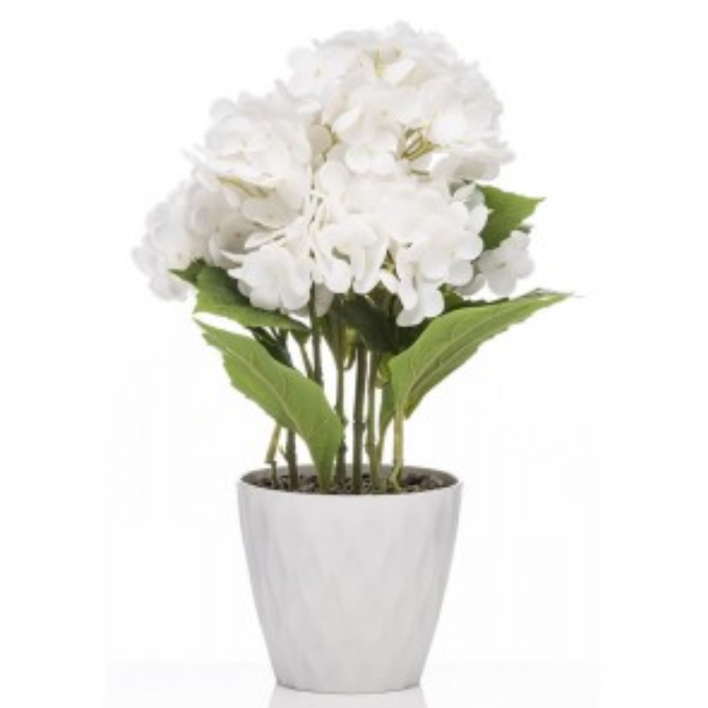 Giftware & Accessories